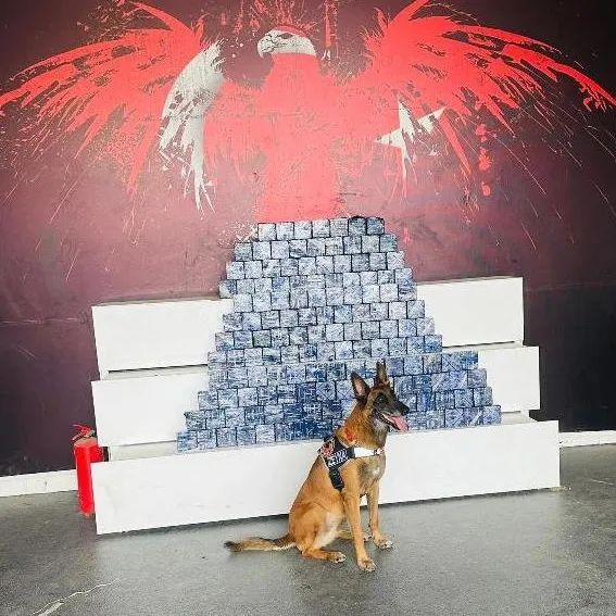 Yolcu otobüsünde 76 kilo eroin bulundu!