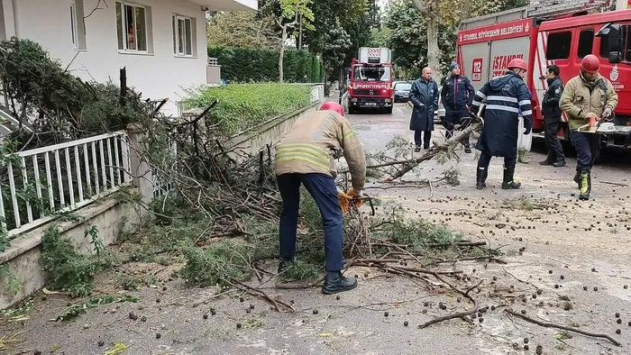turkiye-firtina-ve-yagis-etkisinde-agaclar-devrildi-tekneler-batti-seferler-iptal-edildi-istanbul-izmir-antaly-1700992199849.jpeg Türkiye fırtına ve yağış etkisinde! Ağaçlar devrildi, tekneler battı, seferler iptal edildi... | İstanbul, İzmir, Antalya'da son durum-3