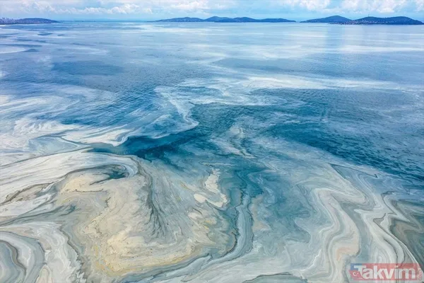 Caddebostan Sahili'nde müsilaj yoğunluğu arttı! Tabloya benzer görüntüler oluştu - 5