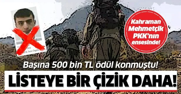 PKK’ya büyük darbe! 500 bin TL ödülle aranan ’Avareş’ kod adlı Musa Bulan etkisiz hale getirildi