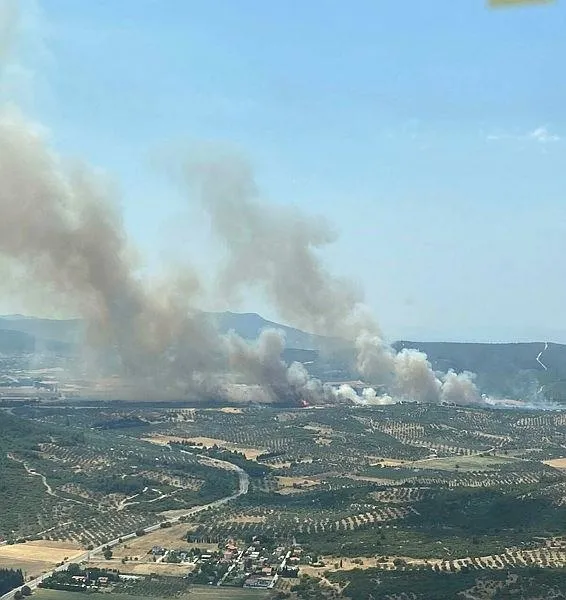 son-dakika-izmir-focada-orman-yangini-ekipler-harekete-gecti-1655553808686.jpeg Son dakika: İzmir Foça'da orman yangını! Ekipler harekete geçti-2