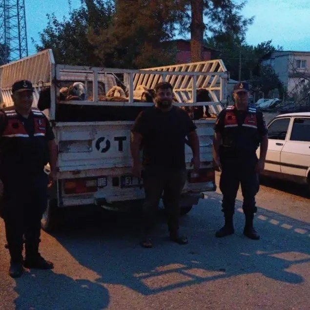 Hırsız çoban