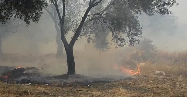Balıkesir'in iki ilçesindeki yangınlar kontrol altına alındı
