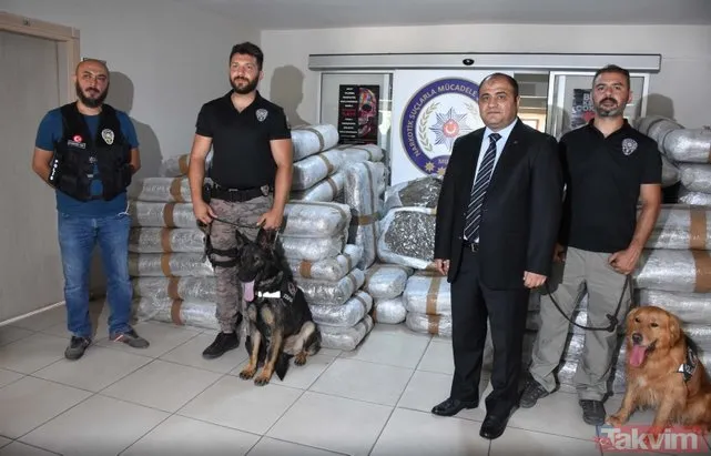 Milas’ta uyuşturucu şebekesine operasyon: 1,5 ton Skunk ele geçirildi