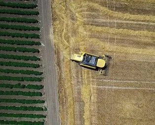 Almanya’da tarım ürünleri fiyatlarında tarihi yükseliş!