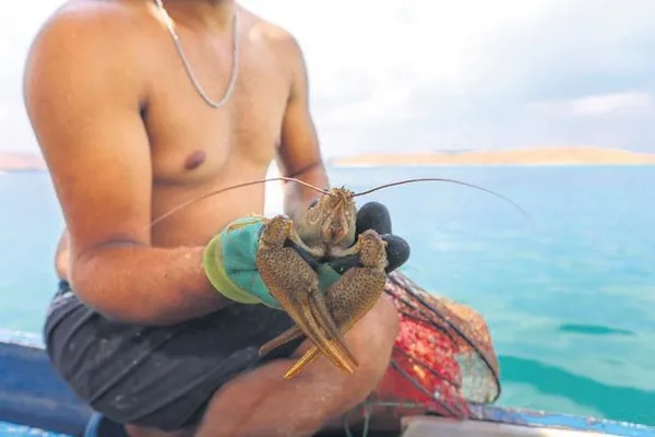 Baba M.A, kızına asansörde tokat attı! Dün gözaltına alındı (Yaşam haberleri)-3