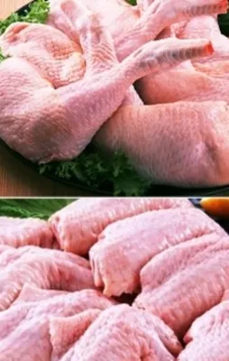 19 piliç şirketine soruşturma açıldı