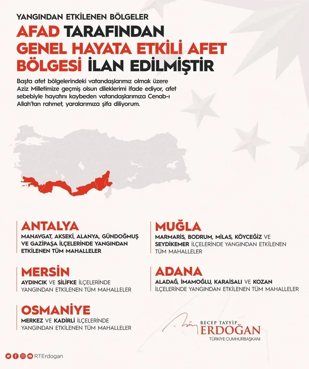 Türkiye'de peş peşe orman yangınları! Başkan Erdoğan açıkladı: 5 il Genel Hayata Etkili Afet Bölgesi ilan edildi-10