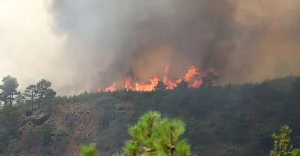 Muğla Köyceğiz’de orman yangını! Tarım ve Orman Bakanı Bekir Pakdemirli duyurdu: Kontrol altına alındı
