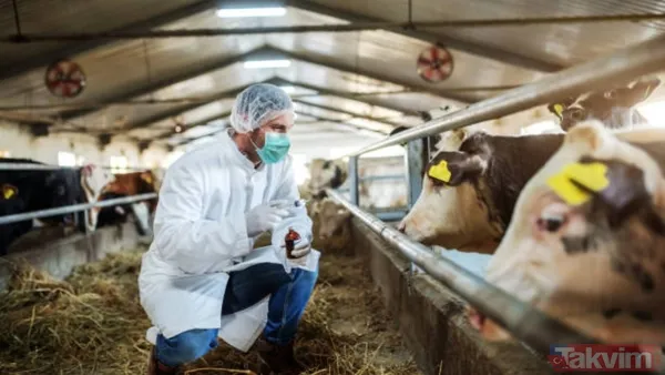 Edinburgh Üniversitesi'nden İmmünopatoloji Profesörü Neil Mabbott, Son Tespit Edilen Vakanın "Atipik Bse" Olduğunu Belirterek Hastalığın Bulaşıcı Olmadığının...