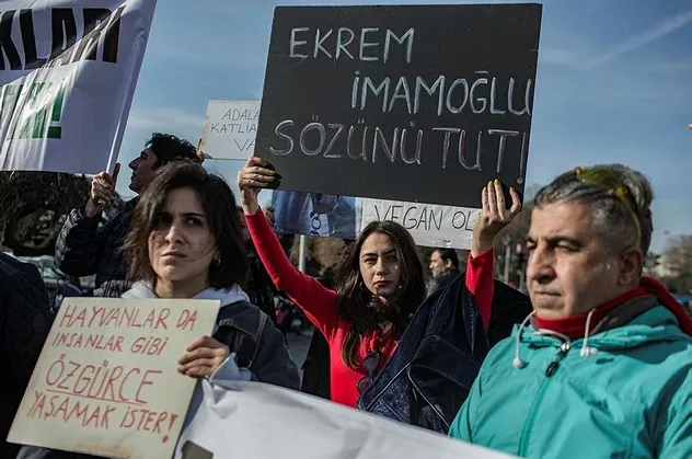 İBB önünde protesto: "Atların kanları İBB'nin elinde!"
