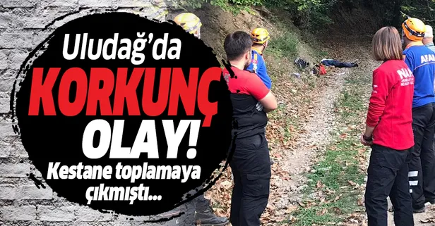 Uludağ’da korkunç olay! Kestane toplamaya çıkmıştı...