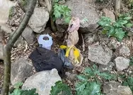 Bölücü terör örgütü PKK’ya operasyon! Hepsi toprağa gömülü halde ele geçirildi