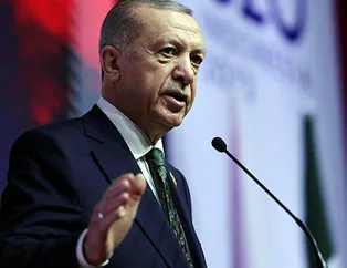 Sokak köpekleri açıklaması: Bakanlıklara talimatı verdim