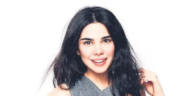 Bitmeyen düşmanlık