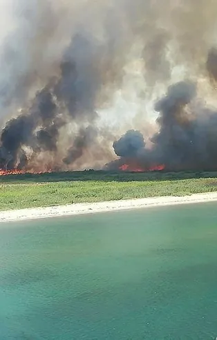 Son dakika: Balıkesir Edremit sahili alev alev