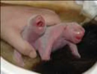 Muhteşem kareler - 46