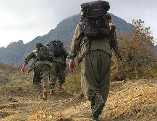 7 PKK’lı terörist daha teslim oldu