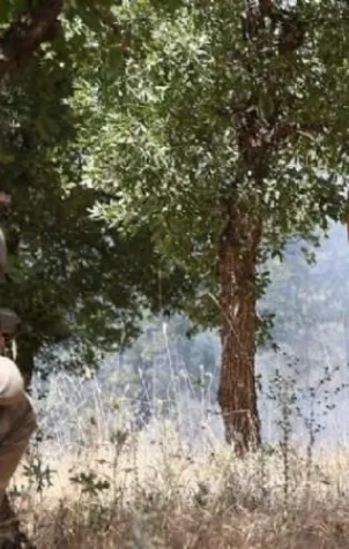 Şırnak Silopi'de 5 PKK'lı terörist teslim oldu!