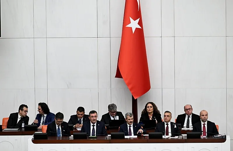 Cumhurbaşkanı Yardımcısı Cevdet Yılmaz (AA)