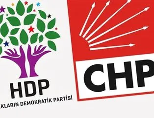 HDP’li vekilden skandal talep!