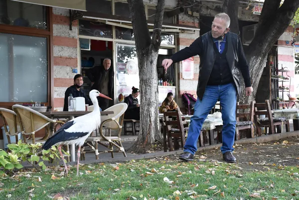 tekirdagda-suruden-ayrilan-leylege-bedesten-carsisi-esnafi-sahip-cikti-1632405052447.jpg Tekirdağ'da sürüden ayrılan leyleğe Bedesten Çarşısı esnafı sahip çıktı-7