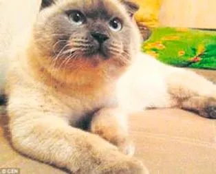 Ruslar’ın seçimi!