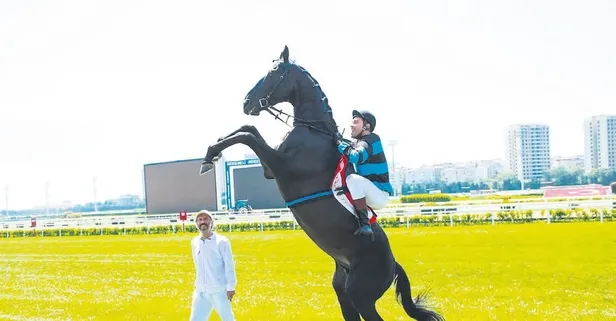 Bold Pilot’un hayatını ’Bizim İçin Şampiyon’ filmi akıllara diğer efsane atları getirdi