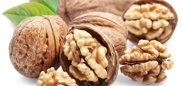 Yorgunluğun ilacı ceviz