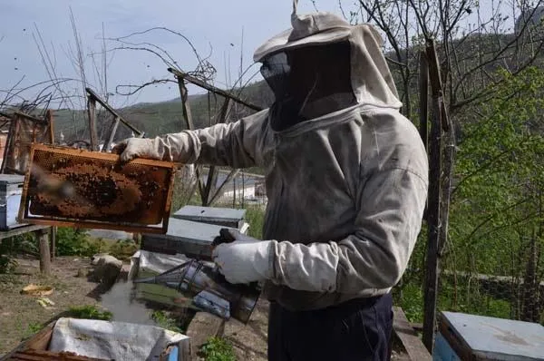 Cumhurbaşkanı Erdoğan'ın sözünü dinledi, bal kralı oldu-4