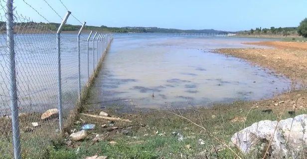 İstanbul’daki deniz göl ve barajlarda balık ve yengeç ölümlerinin nedeni belli oldu! Kirlilik-oksijenin azalması