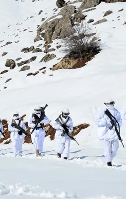 PKK'ya göz açtırmıyorlar! Her yerde onlar var