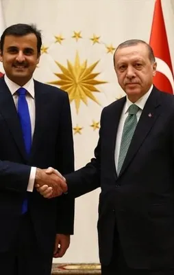 Katar'dan "Zeytin Dalı Harekatı" desteği