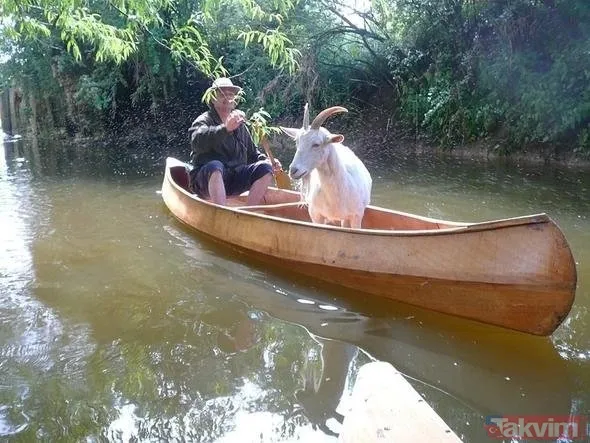 Çinlilerin zeka testi herkesi zorladı! Kimse bulamıyor - 11