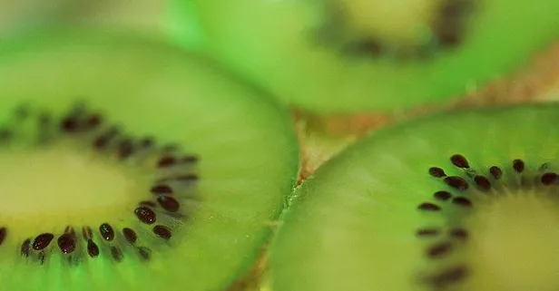 Kivi hafızayı güçlendirir