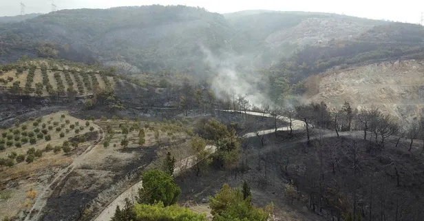 Bakan Pakdemirli duyurdu: Hatay'daki yangın kontrol altında