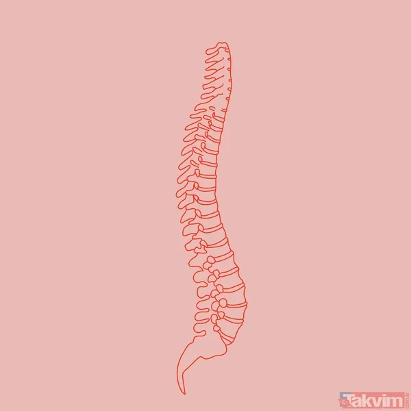 Doktorlar uyardı: Boynunuz bu ölçüden kalınsa kalp hastalığı riski iki kat artıyor - 8