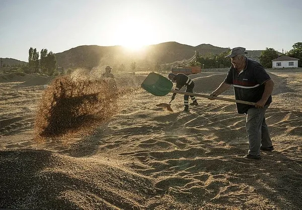 tarim-ve-orman-bakani-ibrahim-yumakli-duyurdu-verim-artacak-fiyat-dusecek-1691790632928.jpeg Tarım ve Orman Bakanı İbrahim Yumaklı duyurdu! Verim artacak fiyat düşecek-4