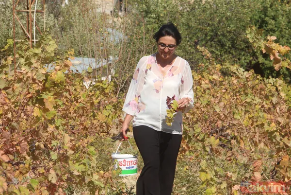 Dünyanın en iyilerinden olan Sorbonne'da okudu! Köyüne dönüp tarım yapmaya karar verdi - 12