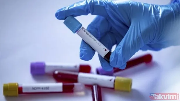 Koronavirüs aşısı ne kadar koruyacak? İlk açıklama geldi!