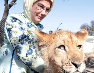 Emine Erdoğan Güney Afrika'da yavru aslan sevdi