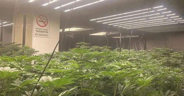 İstanbul'da zehir tacirlerine geçit yok: 20 milyon değerinde uyuşturucu ele geçirildi