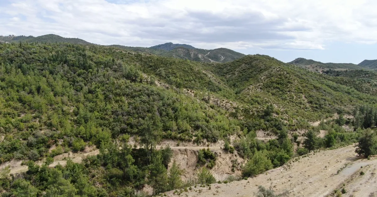 Antalya’da küllerinden yeniden doğan orman dron ile görüntülendi! Tam 1 milyon 747 bin 600 adet fidan dikildi