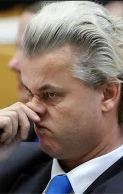 Irkçı Wilders yine nefret kustu