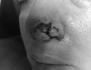 Pitbull bu hale getirdi