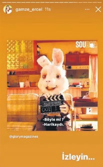 Aralarında Gamze Erçel ve Özlem Ada Şahin de var: Hayvan sevgileri 5 dakikada bitti-3