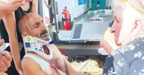 Tunceli’de bir vatandaş ayı saldırısından kurtuldu