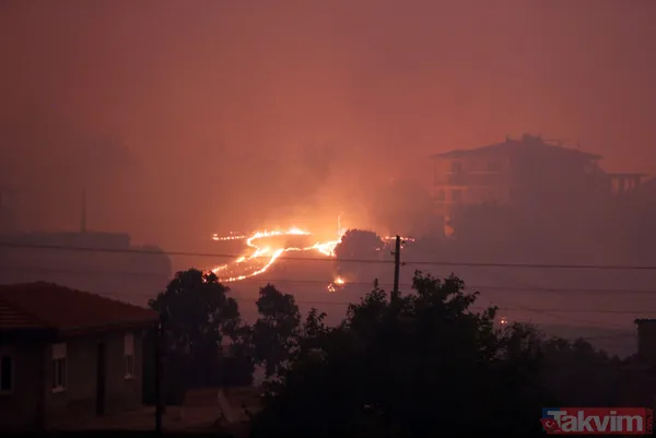 Kan kaybeden PKK, Türkiye'nin ormanlarını yakıyor: Yunanistan'da eğitim gördüler hedeflerinde turistik bölgeler var - 23