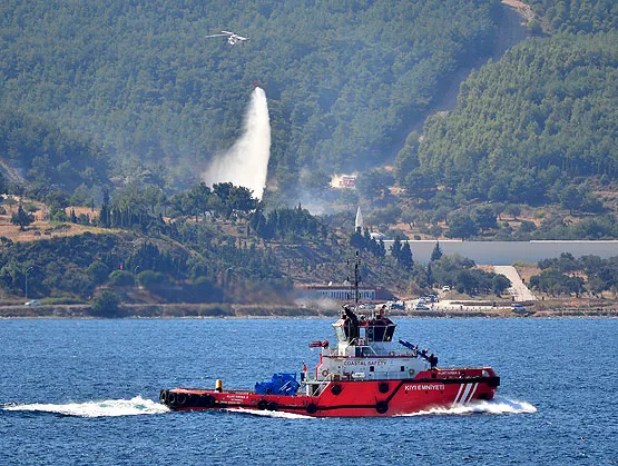 Gelibolu Yarımadası'nda orman yangını-2