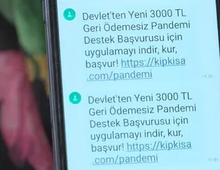 Devletten geri ödemesiz 3 bin lira pandemi desteği mesajına dikkat! Dolandırıcıların yeni oyunu